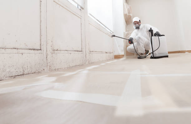 24/7 Emergency Commercial Mold Remediation experts in Marysville, MI