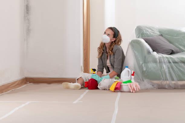 Reliable Commercial Mold Remediation contractor in Marysville, MI by 24 Hour Mold Removal