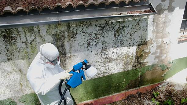 Top rated local Commercial Mold Remediation specialists in Marysville, MI